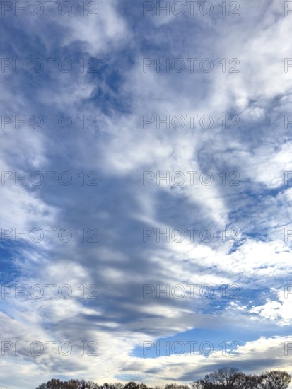 Cloud cover just in front of dusk with linear Altostratus clouds above it Cumulus mediocris with moderate vertical expansion, clouds torn at the right and top Cumulus fractus, international