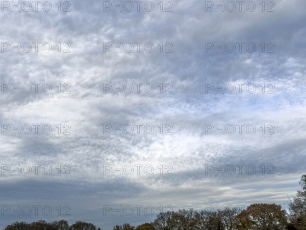 Extensive cloud cover with large layer of altostratus clouds with bag-shaped bulges at the bottom in the background gray dark bad weather cloud Nimbostratus over treetops, international