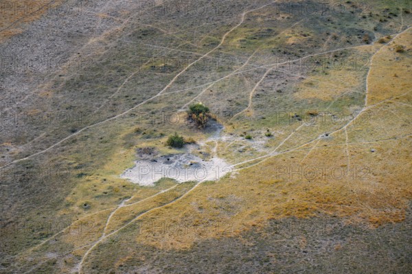 Paths, trails in the countryside, animal trails Aerial view of the Okavango Delta, near Maun, Okavango Delta, Botswana