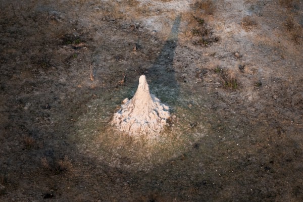 Single termite hill, landscape, aerial view of the Okavango Delta, near Maun, Okavango Delta, Botswana