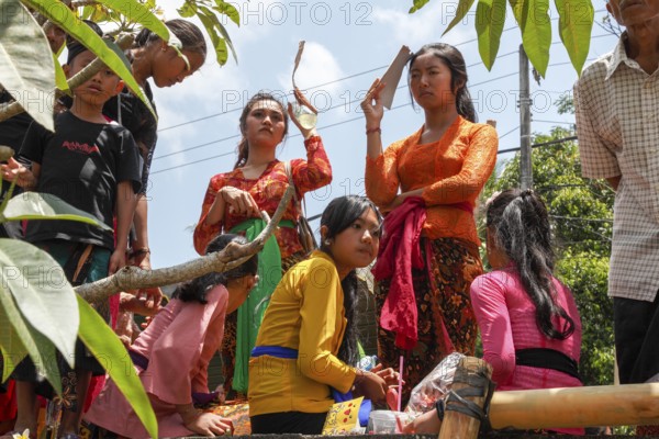 Festively dressed woman at a corpse cremation ceremony (Ngaben), Ubud, Bali, Indonesia