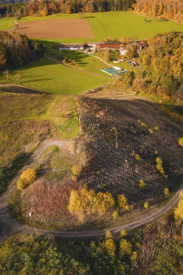 Rural autumn landscape with farm and farmland surrounded by colorful trees and green fields, new Lindenrain industrial park, Calw, Black Forest, Germany