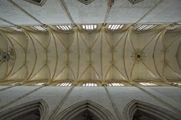 Vaulting, view of the vaulted ceiling, nave, interior, Ulm Minster, Ulm, Baden-Wurttemberg, Germany