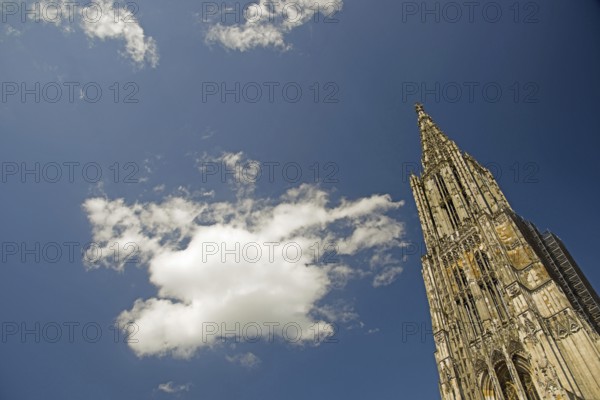 Ulm MÃ¼nster church, Ulm Minster, 161.53m, tallest church tower in the world, MÃ¼nsterplatz square, Ulm, Baden-Wurttemberg, Germany