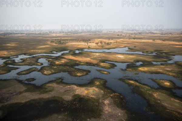 Wetland, landscape, aerial view of the Okavango Delta, near Maun, Okavango Delta, Botswana