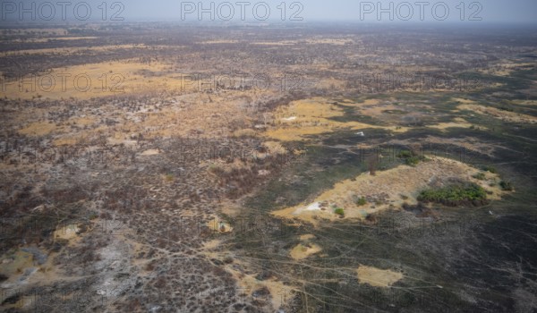 Dry season, structure and pattern of trails, burnt landscape, aerial view of the Okavango Delta, near Maun, Okavango Delta, Botswana