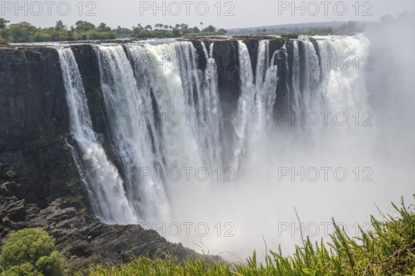 Water plunges into the depths, Victoria Falls with jungle and green plants, Zambezi, Zimbabwe
