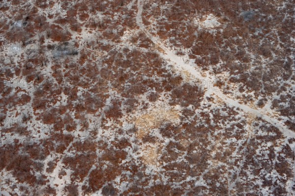 Structure, dry savanna landscape, near Maun, aerial view, Okavango Delta, Botswana