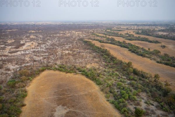 Arid savanna landscape, near Maun, aerial view, Okavango Delta, Botswana