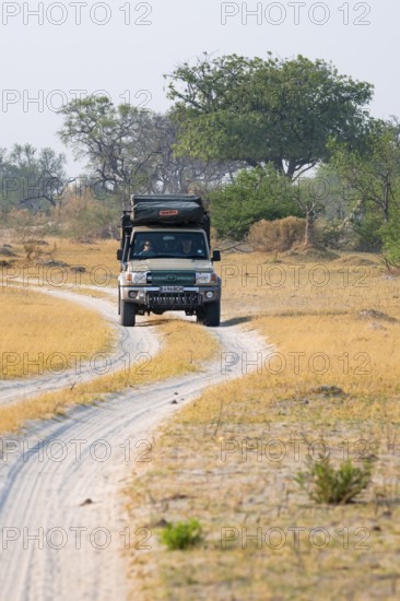 Off-road car, safari car driving on dust road, Third Bridge, Okavango Delta, Moremi Game Reserve, Botswana
