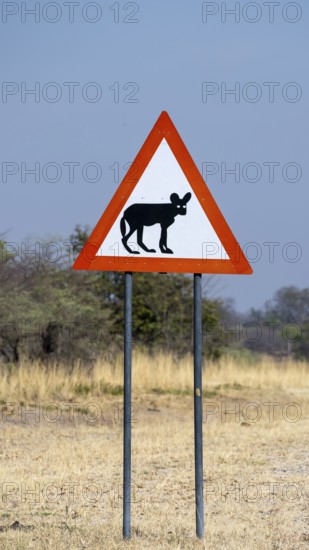 Street sign, attention hyena, funny, Botswana