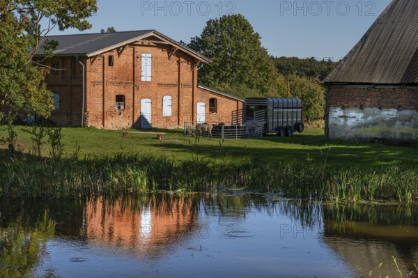 Manor with pond and pigsty from 1921, prefabricated sheep, Othenstorf, Mecklenburg-Western Pomerania, Germany