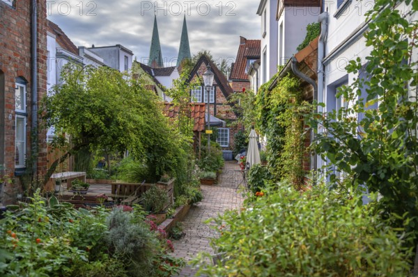 Gardens in the medieval corridors and courtyards of the old town, Hanseatic City of LÃ¼beck, Schleswig-Holstein, Germany