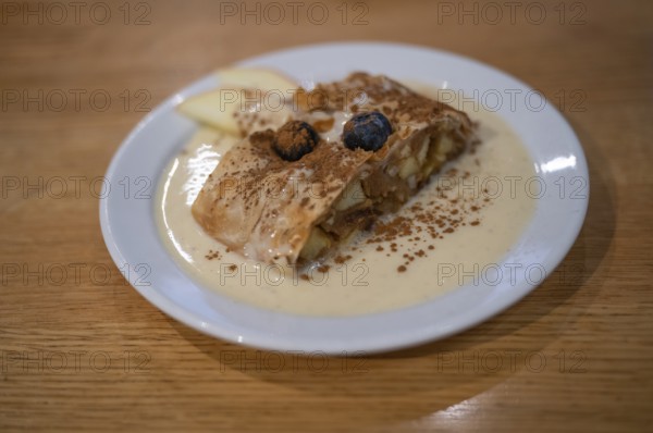 Piece of apple strudel, cake, vanilla sauce, on plate, dessert, food, Free and Hanseatic City of Hamburg, Germany