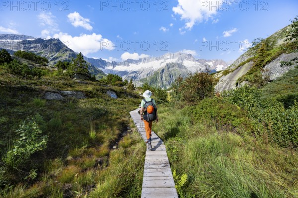 Mountaineers on wooden plank trail through mountain moor, in front of picturesque mountain scenery, Dammastock and Damma glaciers, Göscheneralp, Canton of Uri, Switzerland