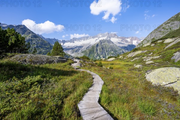 Wooden plank trail through mountain moor, in front of picturesque mountain scenery, Dammastock and Damma glaciers, GÃ¶scheneralp, Canton of Uri, Switzerland