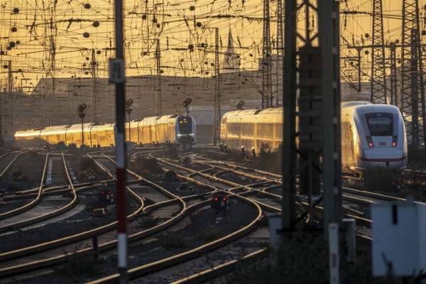 Local transport trains on the tracks, west of Dortmund Central Station, ICE, RRX Zug, North Rhine-Westphalia, Germany