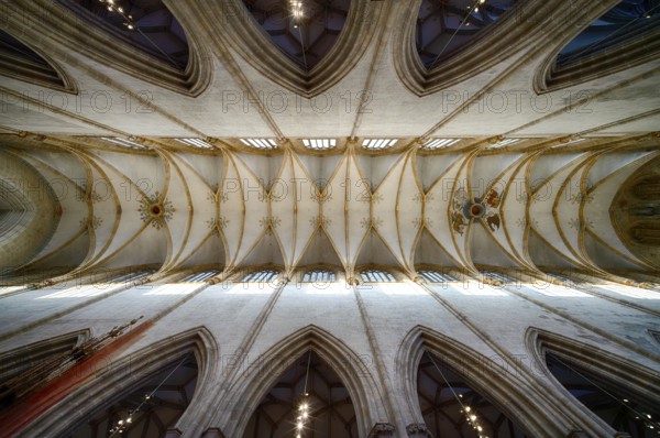 Interior photo, vaulted ceiling, church ceiling, central nave, interior view, Cathedral of Our Lady in Ulm, Ulm MÃ¼nster, Ulm, Baden-WÃ¼rttemberg, Germany