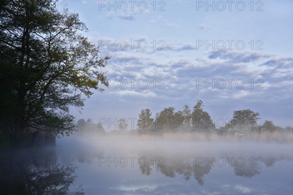 Quiet morning atmosphere at the lake with fog and cloudy sky, Peenetal nature park Park, Mecklenburg-Western Pomerania, Germany