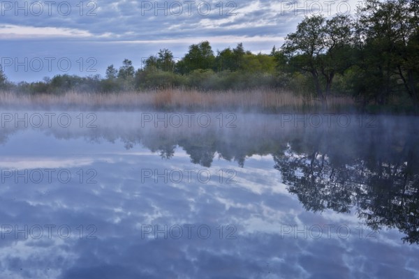 Morning fog over a lake with reeds and cloudy sky, quiet atmosphere, Peenetal nature park Park, Mecklenburg-Western Pomerania, Germany