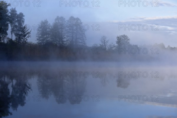 Silent, foggy morning at the water with trees in the background, Peenetal nature park Park, Mecklenburg-Western Pomerania, Germany