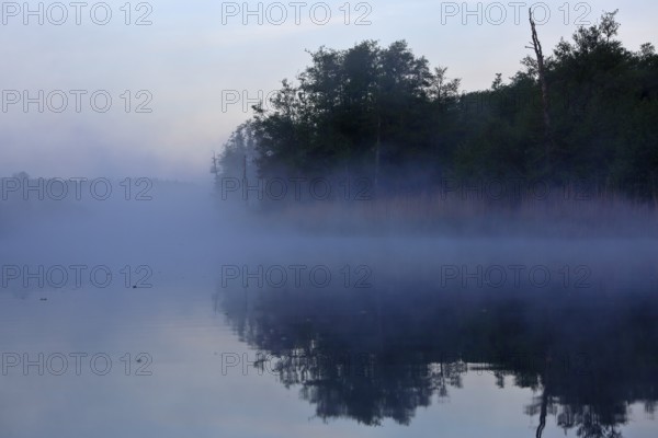 Fog over a calm body of water with trees in the background, Peenetal nature park Park, Mecklenburg-Western Pomerania, Germany