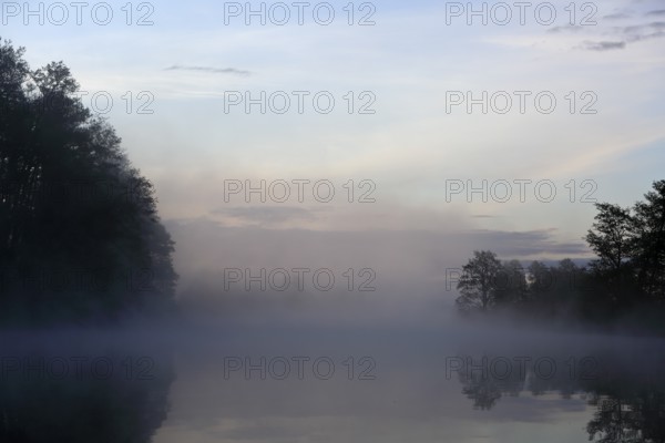 Misty morning atmosphere over a still body of water, surrounded by trees, Peenetal nature park Park, Mecklenburg-Western Pomerania, Germany