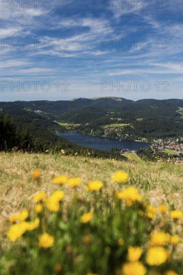 Titisee, Black Forest, Southern Black Forest, Baden-WÃ¼rttemberg, Germany