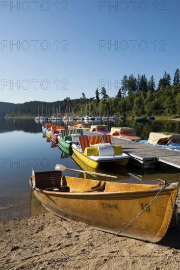 Morning atmosphere with colorful paddle boats and rowing boats, Schluchsee, Black Forest, Southern Black Forest, Baden-WÃ¼rttemberg, Germany