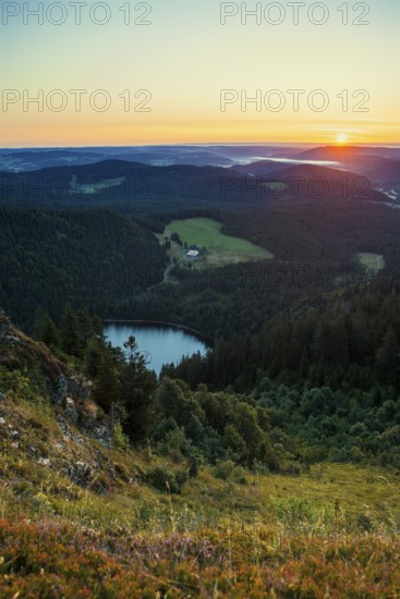 View from Feldberg to Feldsee looking east, sunrise, Black Forest, Southern Black Forest, Baden-WÃ¼rttemberg, Germany