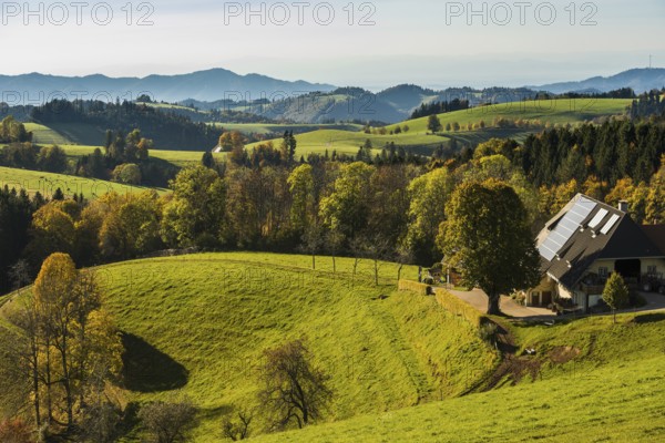 Hilly landscape in autumn, St MÃ¤rgen, Black Forest, Southern Black Forest, Baden-WÃ¼rttemberg, Germany