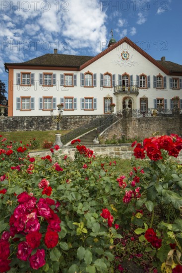 BÃ¼rgeln Castle, Obereggenen, Schliengen, Black Forest, Southern Black Forest, Baden-WÃ¼rttemberg, Germany