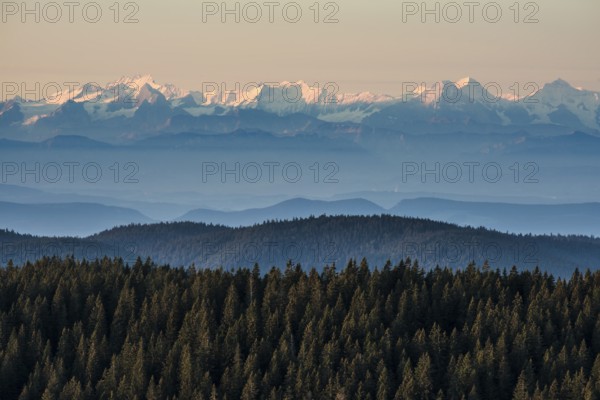 View of the Swiss Alps from Feldberg, Black Forest, Southern Black Forest, Baden-WÃ¼rttemberg, Germany