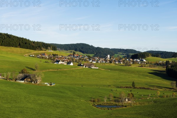Breitnau, Black Forest, Southern Black Forest, Baden-WÃ¼rttemberg, Germany