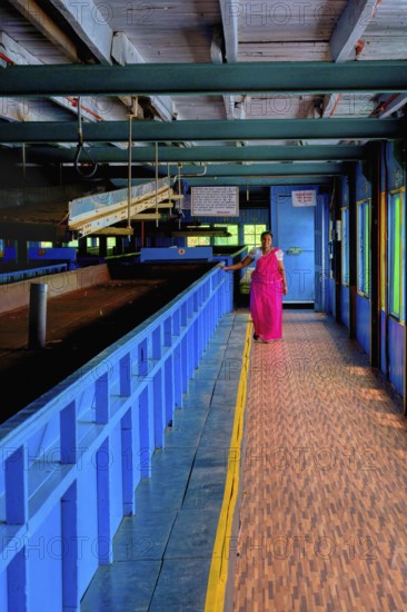 Glenloch tea factory, Nuwara Eliya, Sri Lanka