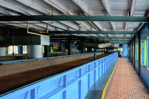 Glenloch tea factory, Nuwara Eliya, Sri Lanka