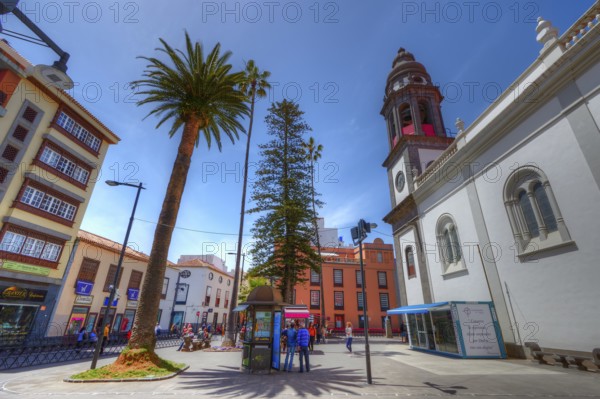 Urban square with palm trees and tower on a sunny day, UNESCO World Heritage Old Town of San Crstobal de La Laguna, La Laguna, Tenerife, Canary Islands, Spain