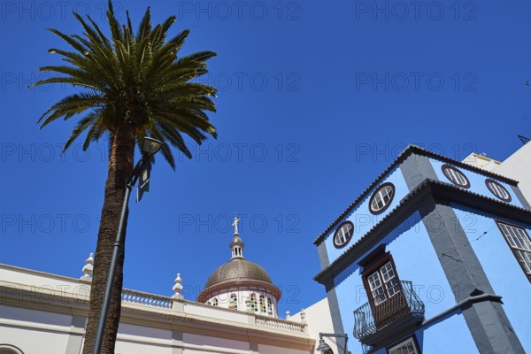 Palm tree and classic building against deep blue sky, UNESCO World Heritage Old Town of San Crstobal de La Laguna, La Laguna, Tenerife, Canary Islands, Spain