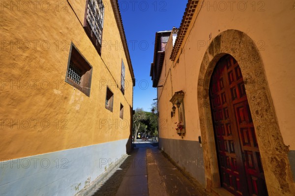 Narrow historic alley with yellow facades and wooden doors in the shade of a wall, UNESCO World Heritage Old Town of San Crstobal de La Laguna, La Laguna, Tenerife, Canary Islands, Spain