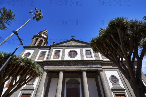 Nuestra Senora de los Remedios Cathedral, historic church with large arched windows and palm trees in the foreground under blue sky, UNESCO World Heritage Old Town of San Crstobal de La Laguna, La Laguna, Tenerife, Canary Islands, Spain