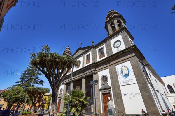 Nuestra Senora de los Remedios Cathedral, large church with decoration and plants against a bright blue sky, UNESCO World Heritage Old Town of San Crstobal de La Laguna, La Laguna, Tenerife, Canary Islands, Spain