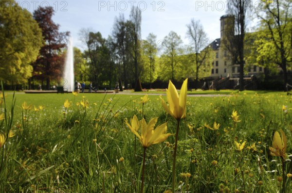 Castle Park, Fulda City Palace, Hesse, Germany