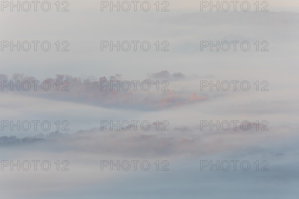 Idyllic atmosphere with orange treetops in morning fog, autumn forest in the golden light of sunrise in the foothills of Alb