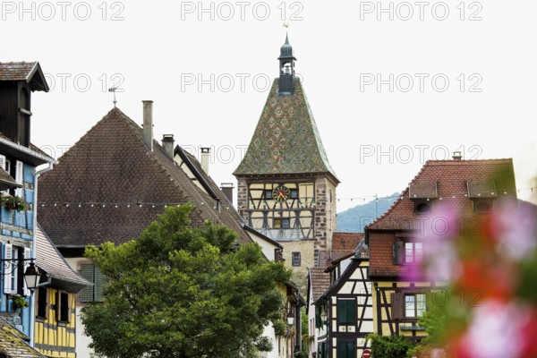 Picturesque village with half-timbered houses, Bergheim, Haut-Rhin, Alsace, France