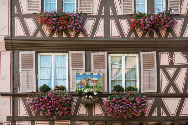 Timbered house, La Petite Venise, Krutenau district, Old Town, Colmar, Alsace, France