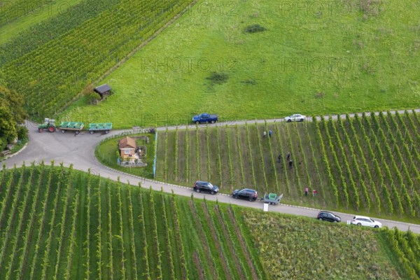 Harvesters in vineyards, cars on a road, lush green surroundings, grape grape harvest, near Korb im Remstal, Baden-WÃ¼rttemberg, Germany