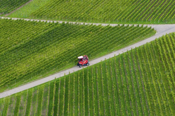 A grape harvester on a road during the grape grape harvest, near Korb im Remstal, Baden-WÃ¼rttemberg, Germany