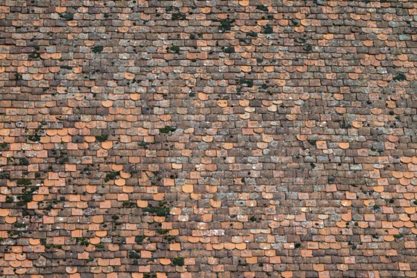 Clay tile roof, Herberstein Castle, Herberstein, Styria, Austria