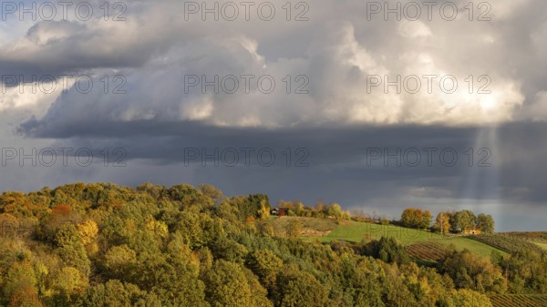 Cultural landscape in southern Burgenland in the late afternoon, Kukmirn, Burgenland, Austria