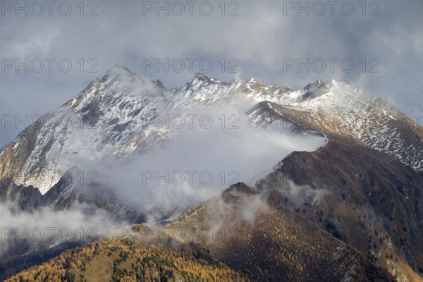 Hohe Warte, Ottenspitze and Gammerspitze in autumn, seen from larch meadows above Vinaders, Tuxer Hauptkamm, Zillertal Alps, Tyrol, Austria